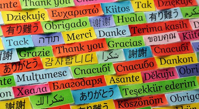 Thank You Word Cloud printed on colorful  paper different languages