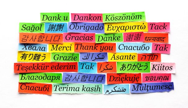 Thank You Word Cloud printed on colorful  paper different languages