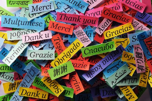 Thank You Word Cloud printed on colorful  paper different languages