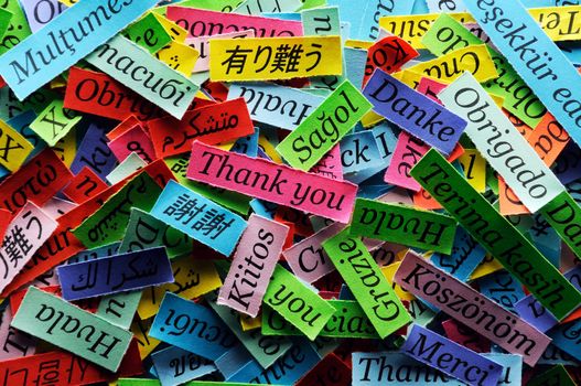 Thank You Word Cloud printed on colorful  paper different languages