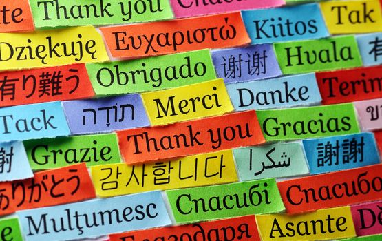 Thank You Word Cloud printed on colorful  paper different languages