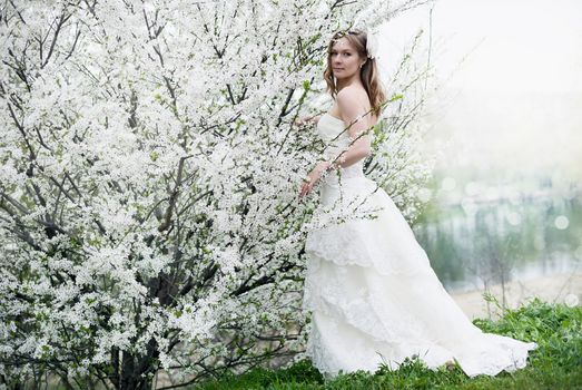Portrait of beautiful blond bride in spring blossom