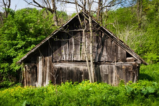 old wooden brown retro house in green forest