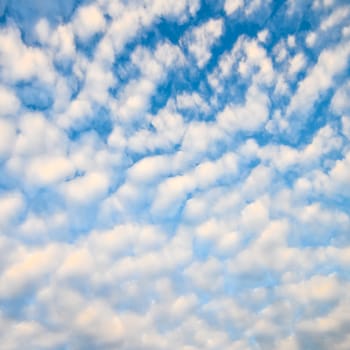 The blue sky and white fluffy clouds .