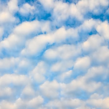 The blue sky and white fluffy clouds .