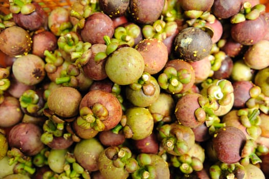 mangosteen fruit