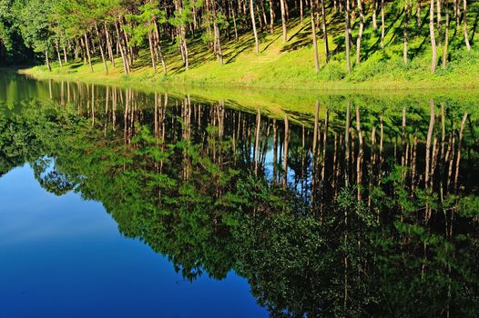 Reflection of lake in Pang Ung Forestry Plantations, Maehongson Province, North of Thailand