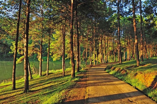 Light aircraft, Pang Ung Forestry Plantations, Maehongson Province, North of Thailand