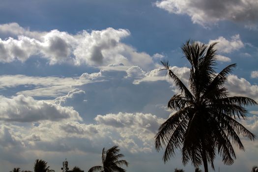 One of the images in a photo series depicting the grandeur of various cloud formations in the sky. This is  with silhouetted coconut  trees in foreground.