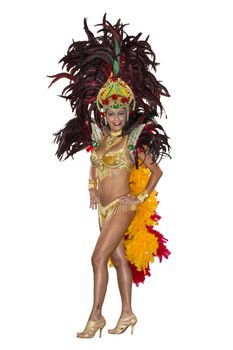 Carnival, Samba Dancer, dressed in feather costume