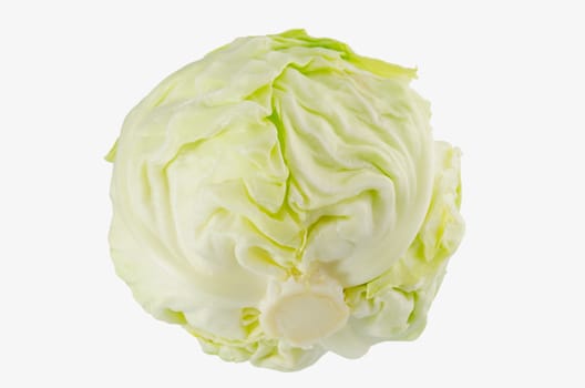 whole fresh cabbage closeup on white background