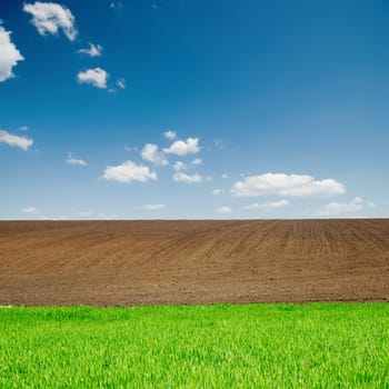 green grass and black plowed fields under blue sky