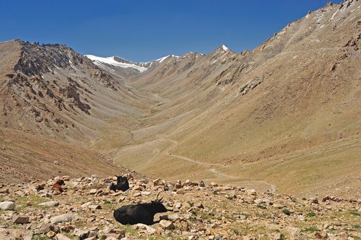 Beautiful scenic view of Leh valley, Ladakh range, Jammu & Kashmir, Northern India