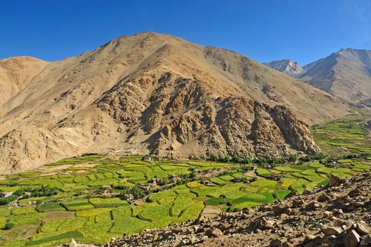 Beautiful scenic view of Leh valley, Ladakh range, Jammu & Kashmir, Northern India