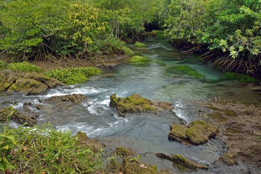 Tha pom nature trail and Crystal stream, Krabi, Thailand