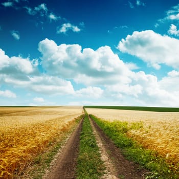 road in yellow field with harvest and cloudy blue sky