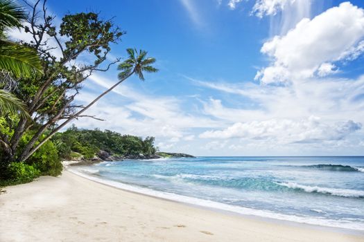 Deserted tropical beach , Silhouette island, Seychelles, Africa
