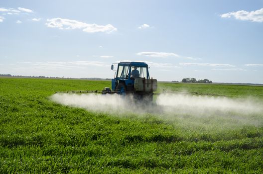 Tractor spray fertilize green field with pesticide insecticide herbicide chemicals in agriculture field in evening sunlight. Farmer care plants.