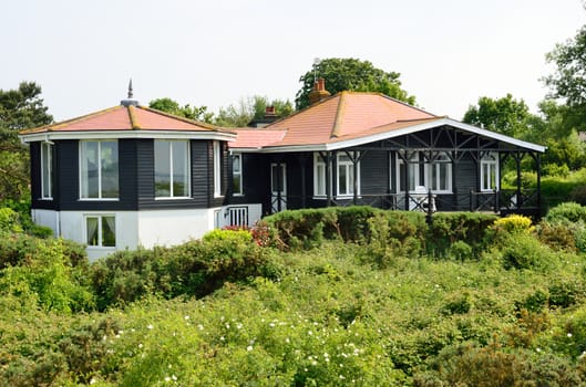 Large black house with natural garden