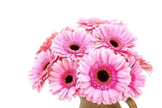pink gerbera flowers in a vase