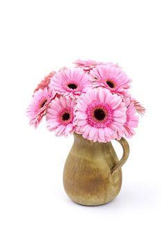 pink gerbera flowers in a vase