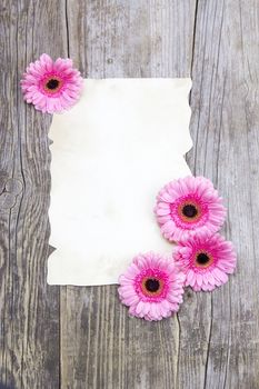 pink gerberas and empty sheet on a wooden board, vintage style