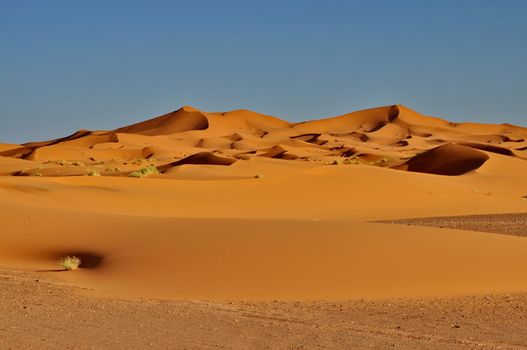 Merzouga desert in Morocco