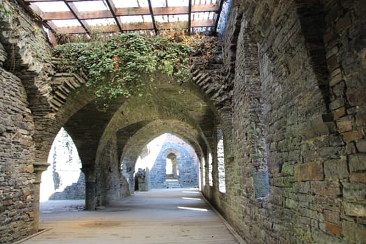 Ruins of an old Belgium Abbey,  Villers-la-Ville