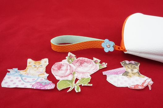 Pockets for Money with cat and dog in box of shoe with rose Pattern.