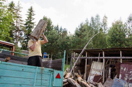 worker man unload tree logs firewood wood from tractor trailer near rural woodshed house.