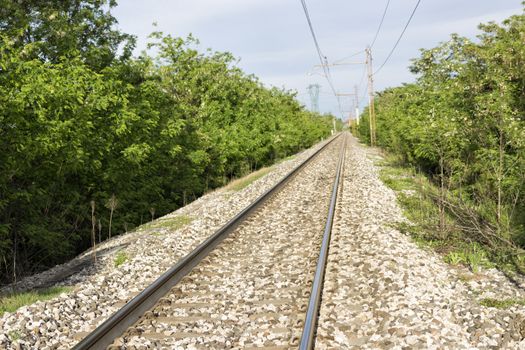 railroad and trees in Italian countryside