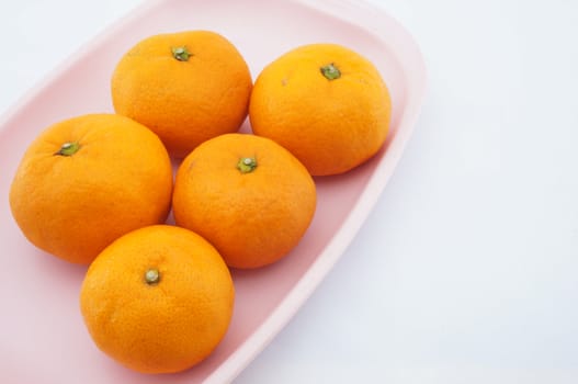 Sour orange have not seeds placed on pink tray with white background.