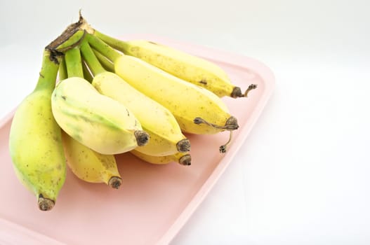 Yellow cultivated banana put on a pink tray with white background.