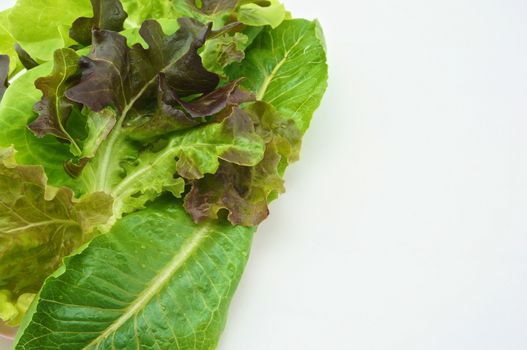 Fresh green and purple cabbage made vegetarian salad put on pink tray with white background.