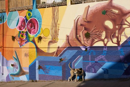 Colourful murals decorating the streets of the world heritage city of Valparaiso in Chile
