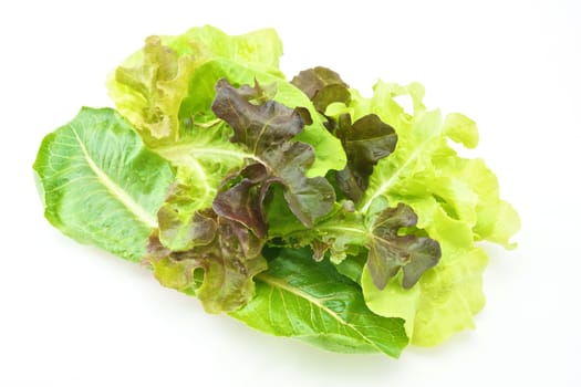 Fresh green and purple cabbage made vegetarian salad put on pink tray with white background.