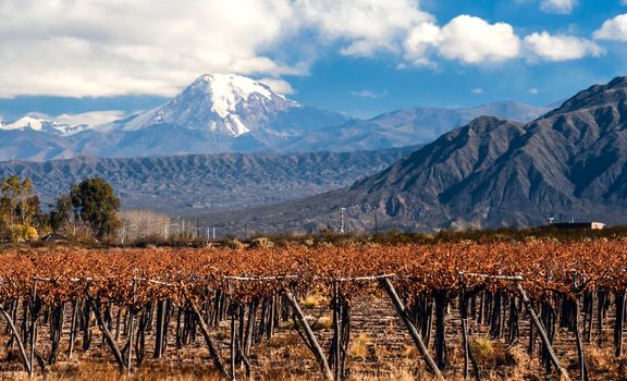 Volcano Aconcagua and Vineyard. Aconcagua is the highest mountain in the Americas at 6,962 m (22,841 ft). It is located in the Andes mountain range, in the Argentine province of Mendoza