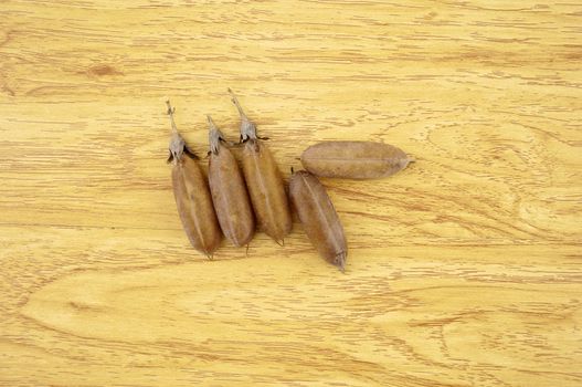 Seed of Thunbergia laurifolia  like pod put on wood background.