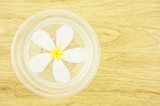 Plumeria place on the water in a plastic bowl with wood background.