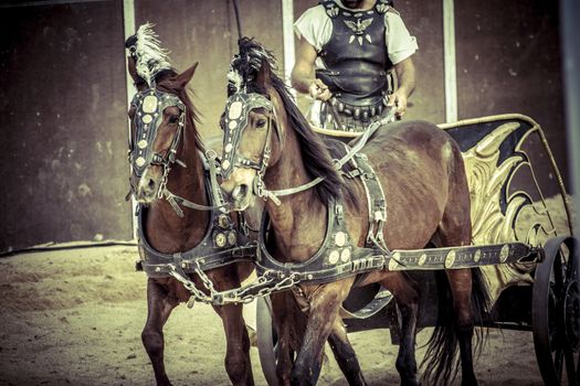 Roman chariot in a fight of gladiators, bloody circus