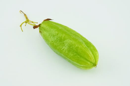 Averrhoa bilimbi or cucumber is green bio fruit isolated on white background