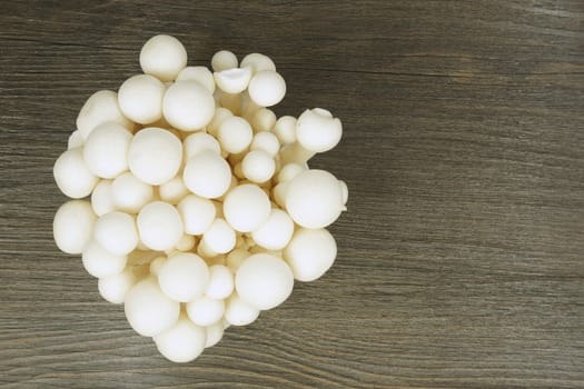 White fresh shimeji mushroom is vegetarian food on wood background.