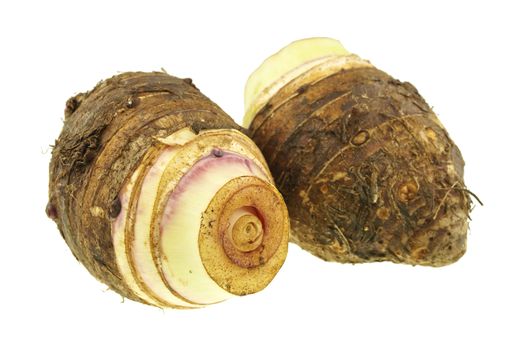 Close up Taro or Colocasia esculenta is root isolated on white background.