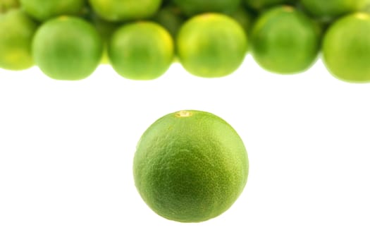 Close up fresh green lemon place isolated on white background.