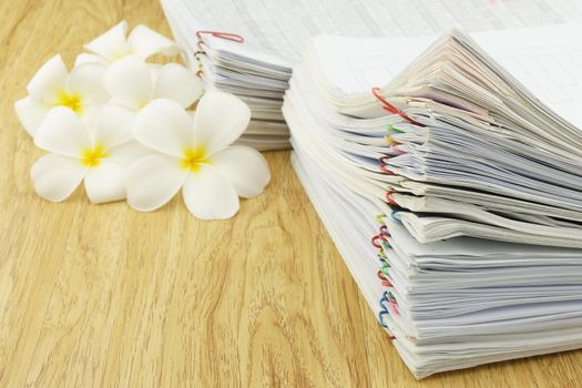 Document of account include receipt and sales place with plumeria on wood background.