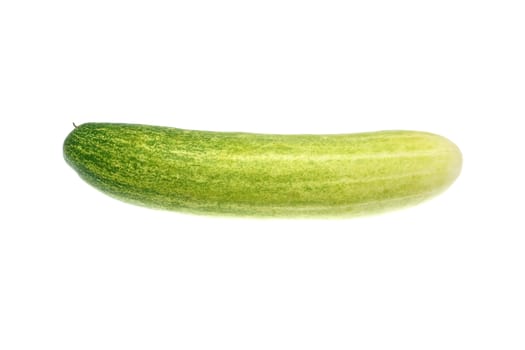 Fresh green cucumber put alone isolated with a white background.