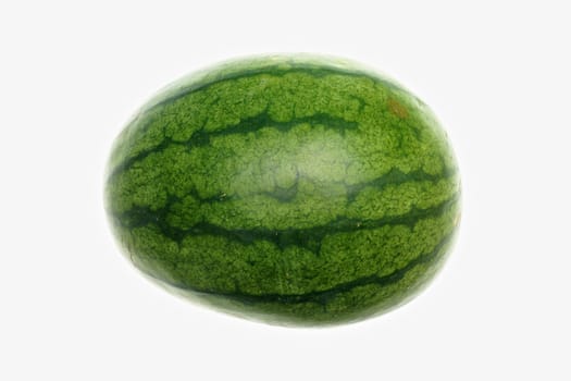 Fresh green watermelon put alone isolated with a white background.