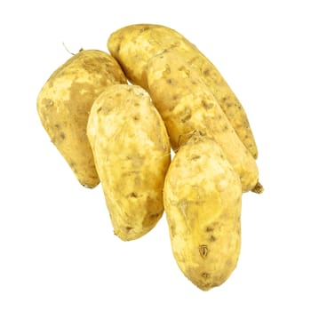 Stack of brown yam is root isolated on white background.