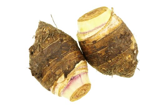 Taro or Colocasia esculenta is root isolated on white background.