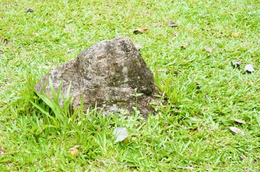 Rock on left of meadow in forest with green grass.